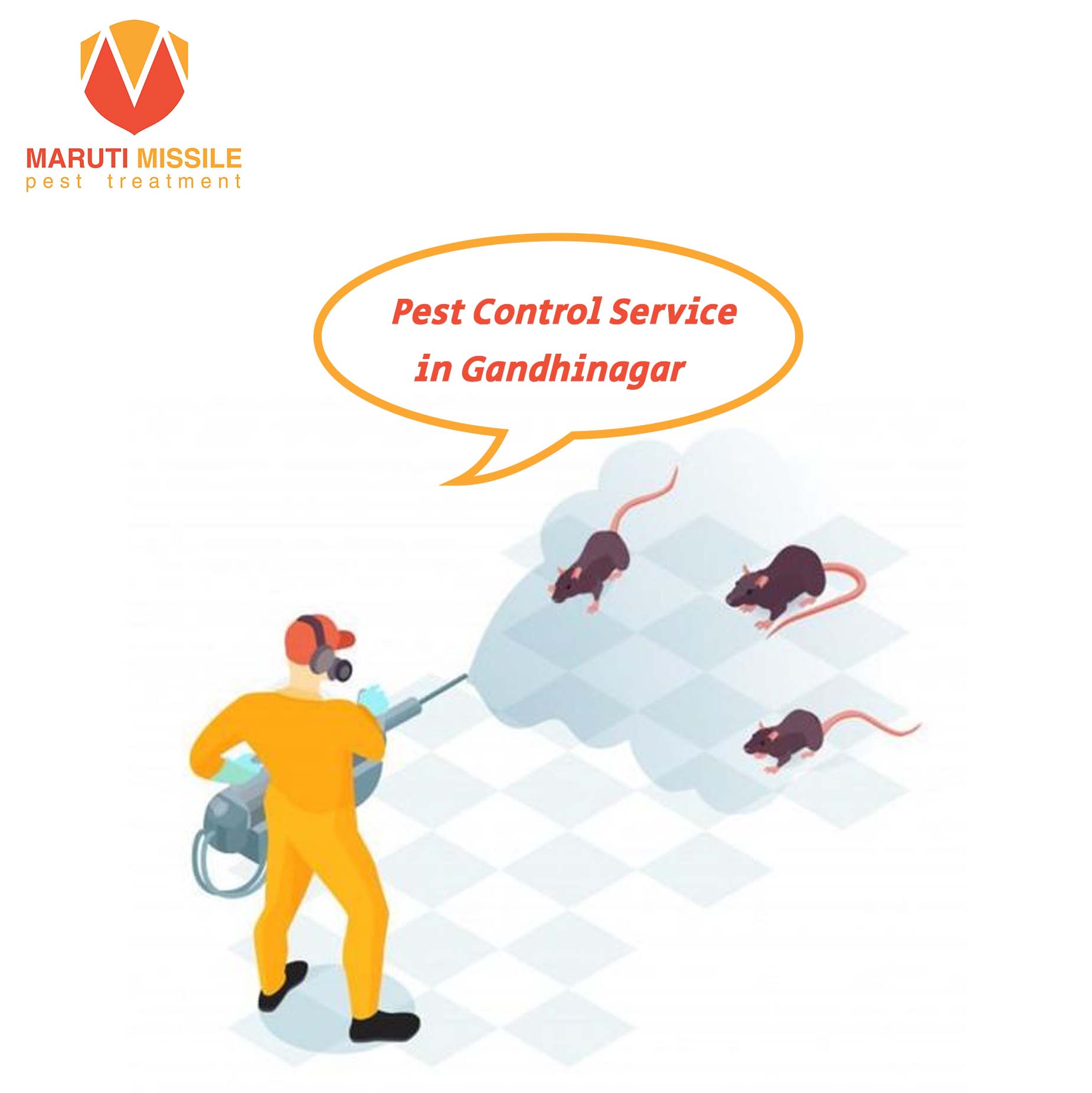 Pest Control Service in Gandhinagar